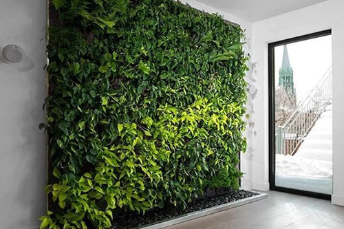 Dikey Bahçe ve Yeşil Duvar Sistemleri