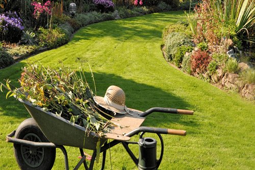 Profesyonel Bahçe Bakımı ve Budama Hizmetleri