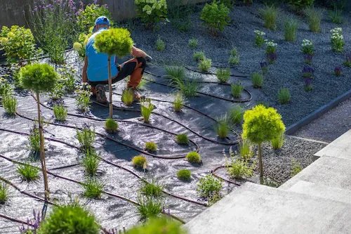 Peyzaj Uygulama ve Düzenleme